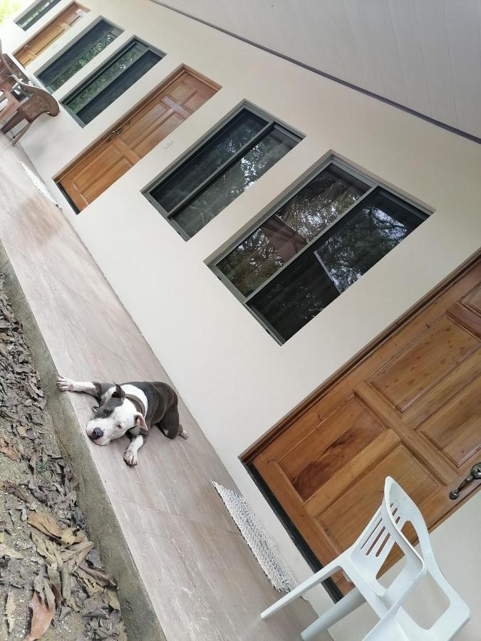 Casa Taupe Otel Puerto Carrillo Dış mekan fotoğraf