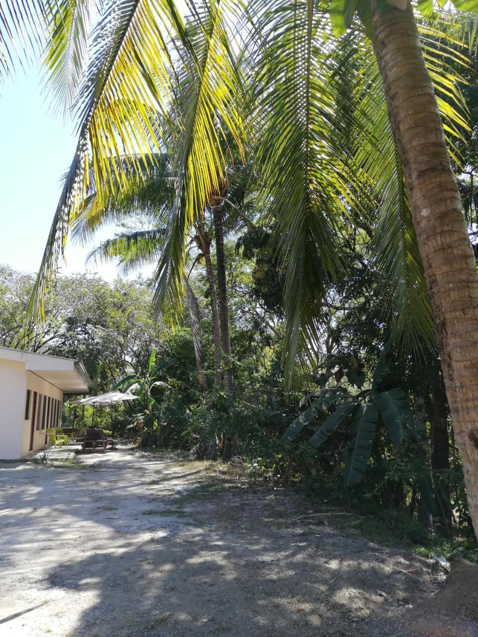 Casa Taupe Otel Puerto Carrillo Dış mekan fotoğraf